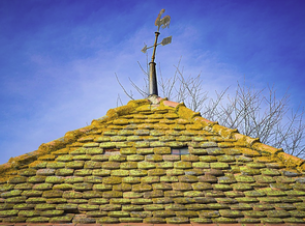 An old roof covered in moss that could only be properyl cleaned by experts in the moss removal experts if the owner wishes to leave no scratches or damage behind. 