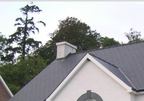 A picture of a roof cleaned by a Seattle roof cleaning company.