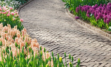 A picture of clean garden path
