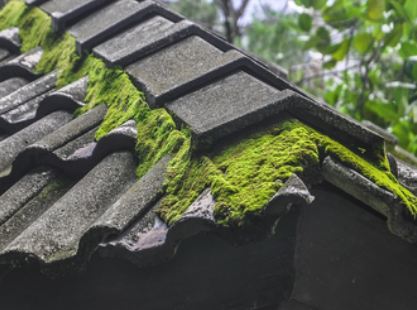Roof Moss Removal, Organic Treatment and Pressure Washing in Portland