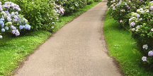 A picture of a clean backyard garden path